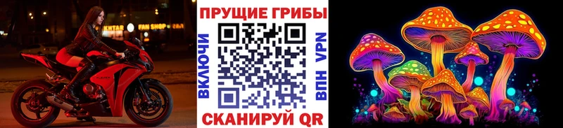 Галлюциногенные грибы Psilocybine cubensis  OMG как войти  Собинка 