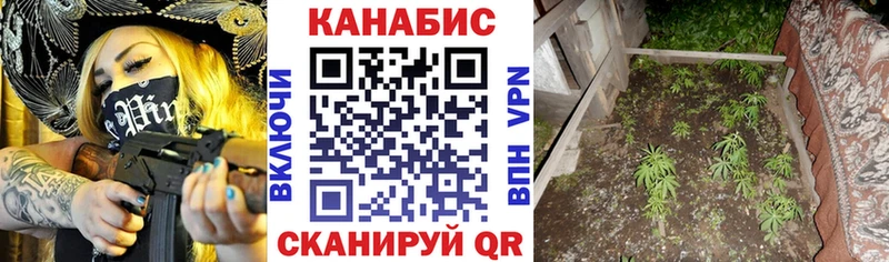 наркошоп  Собинка  Каннабис White Widow 